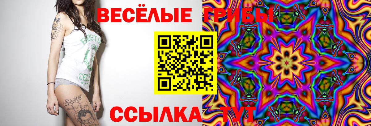 Псилоцибиновые грибы Psilocybe Арзамас