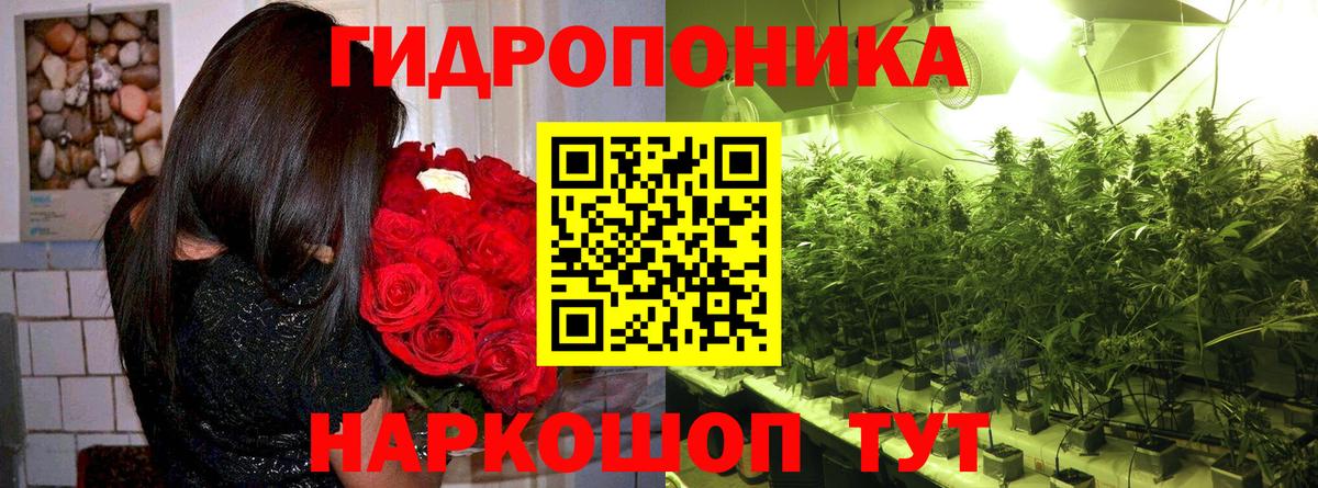 Бошки марихуана гибрид  Конопля Ganja  Арзамас  Вход с VPN  Бошки Шишки Ganja 